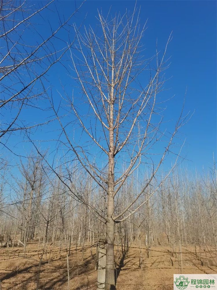 青青草污APP下载