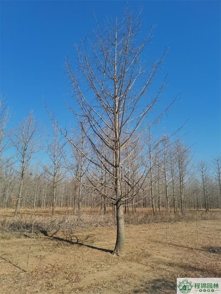 青青草污APP下载